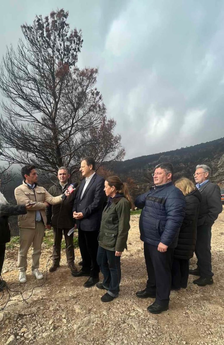 Σε πλήρη εξέλιξη τα αντιδιαβρωτικά έργα στην Πάρνηθα